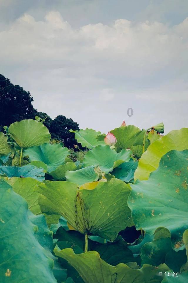 杀手5