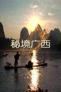 燃烧吧大脑装瓶子游戏