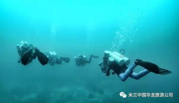 港股药明生物、药明康德暴跌,曾触发市场调节机制,发生了什么?