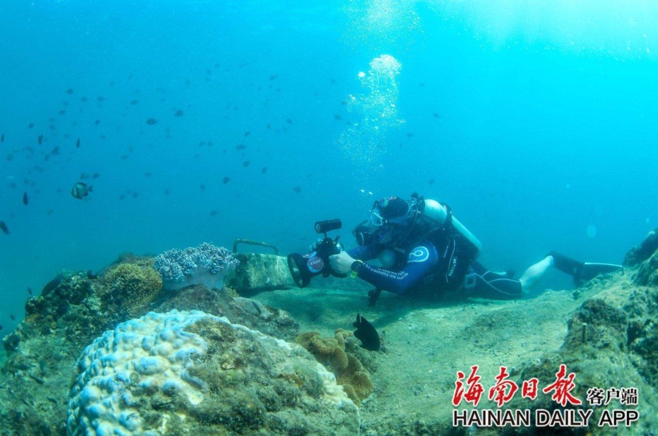 梦幻西游电脑版