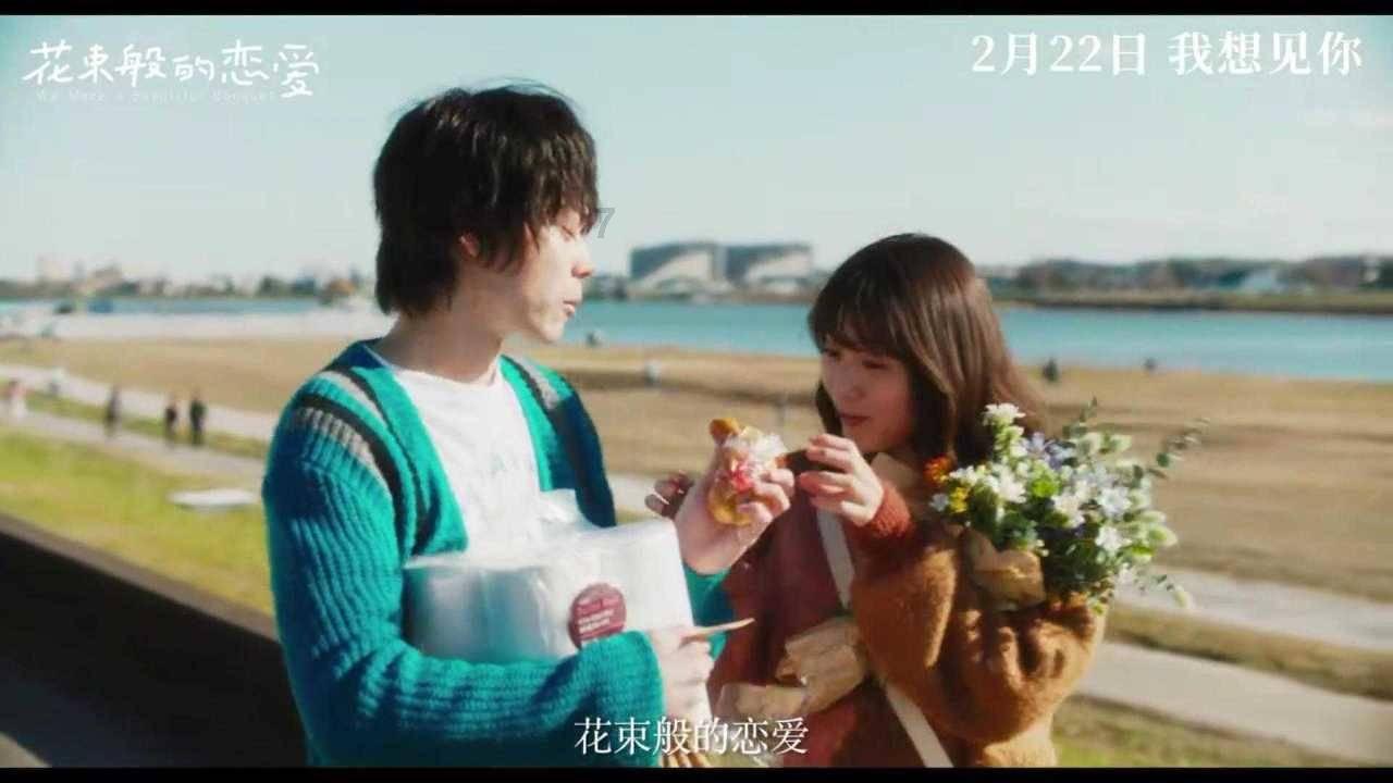 猫头鹰森林逃生