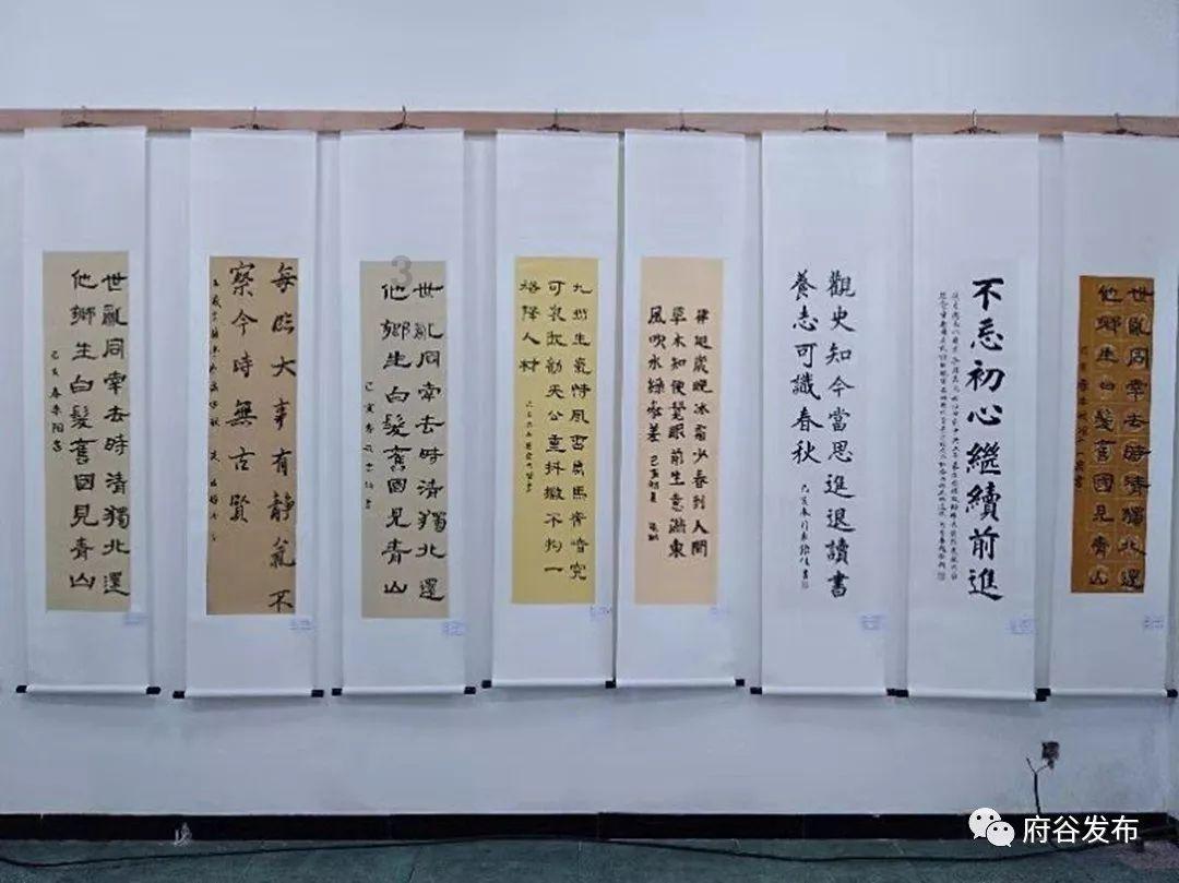 预算内找到实惠的vps，这些方法让你做出明智的选择