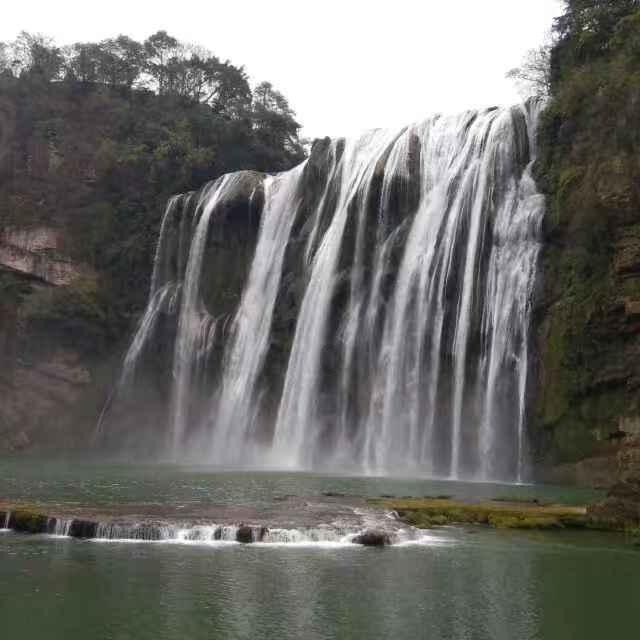 饿狮救援