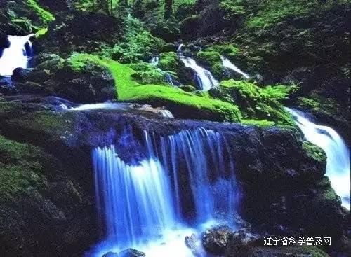 瞳术使用者