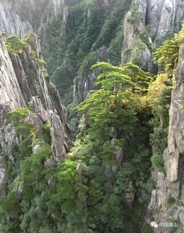 董宇辉那么火!东方甄选却净利下滑,钱谁拿走了?