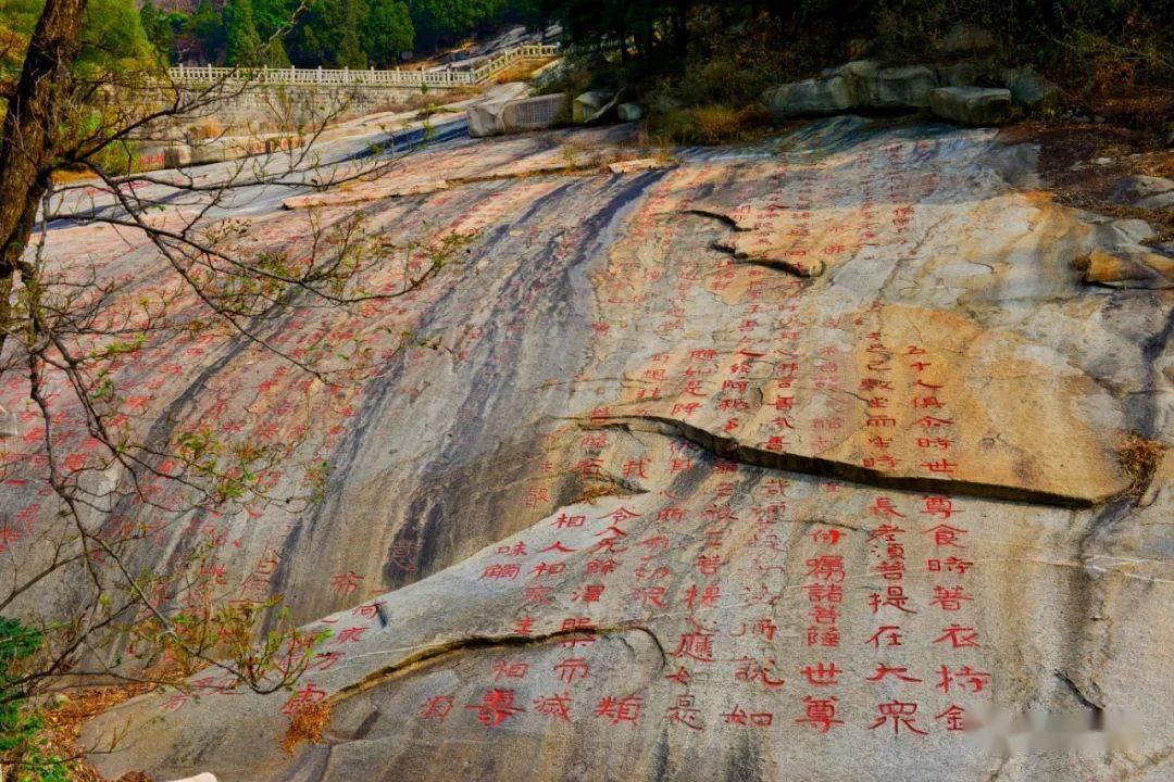 逗小猴开心系列165