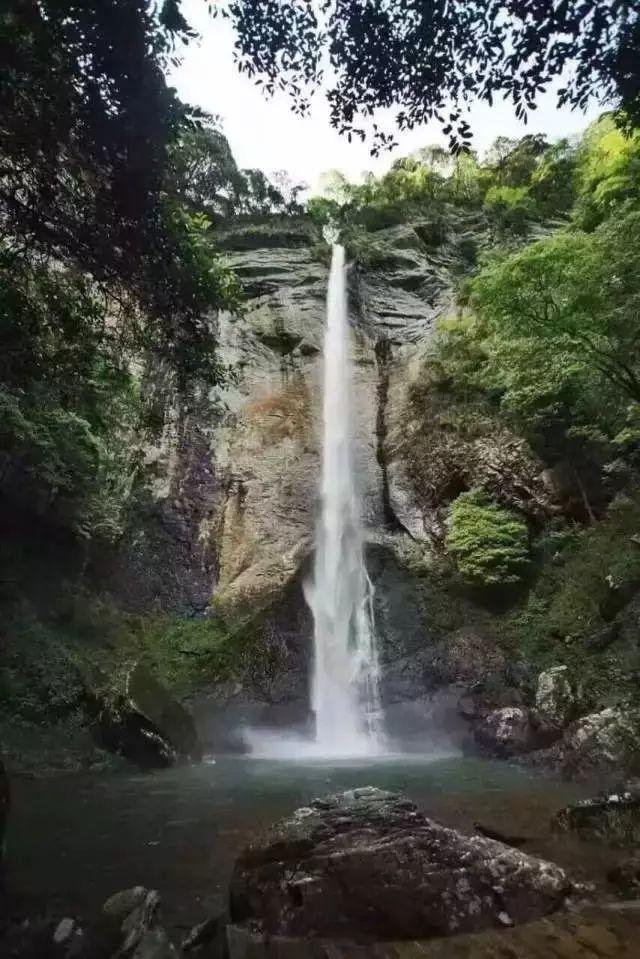 茂密丛林逃生