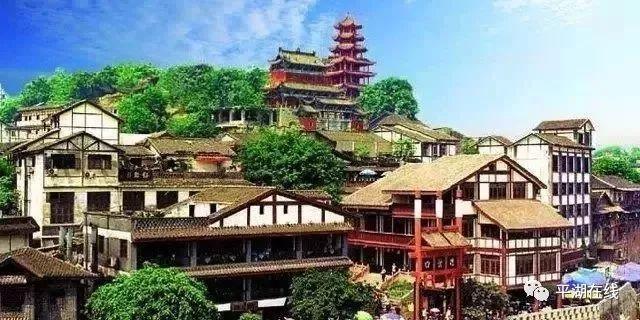 逃离金刚鹦鹉森林