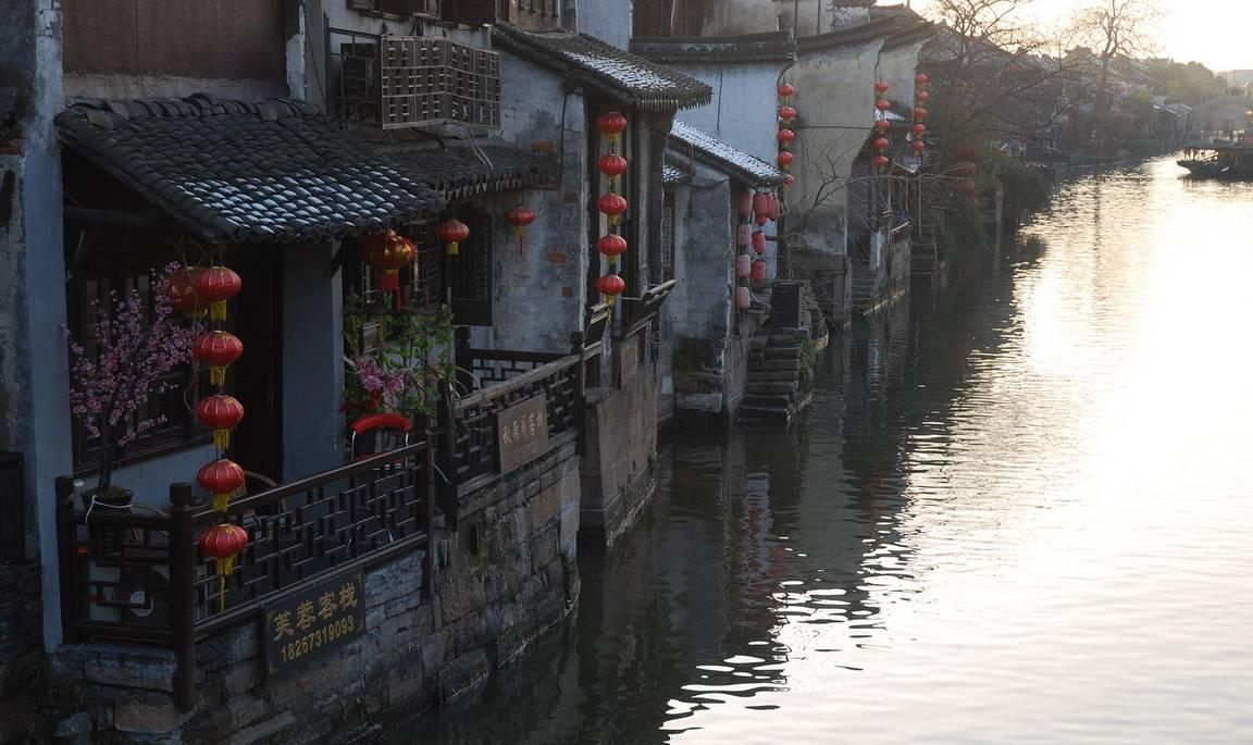 植物大战僵尸