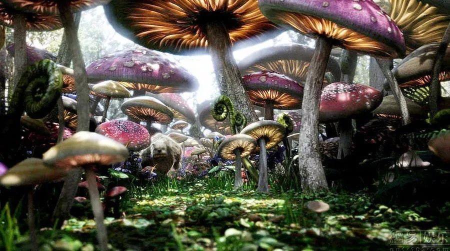 哈马斯从哪里获得武器？最新结论：来自以色列！